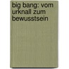 Big Bang: Vom Urknall zum Bewusstsein by Manfred Spitzer