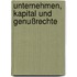 Unternehmen, Kapital und Genußrechte