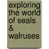 Exploring The World Of Seals & Walruses