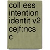 Coll Ess Intention Identit V2 Cejf:ncs C by John Finnis