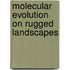 Molecular Evolution on Rugged Landscapes