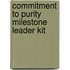 Commitment To Purity Milestone Leader Kit