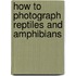How To Photograph Reptiles And Amphibians