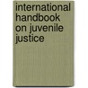 International Handbook on Juvenile Justice door Donald J. Shoemaker