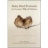 Baby Bird Portraits by George Miksch Sutton