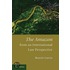Amazon From An International Law Perspective