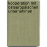 Kooperation mit osteuropäischen Unternehmen door Florian Stache