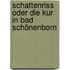 Schattenriss oder Die Kur in Bad Schönenborn