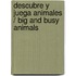 Descubre y juega Animales / Big and Busy Animals