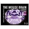 The Mouse Brain In Stereotaxic Coordinates, Compact door Keith Franklin