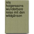 Nils Holgerssons wunderbare Reise mit den Wildgänsen