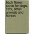 Bach Flower Cards For Dogs, Cats, Small Animals And Horses