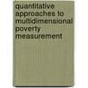Quantitative Approaches to Multidimensional Poverty Measurement door Nanak Kakwani