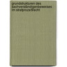 Grundstrukturen des Sachverständigenbeweises im Strafprozeßrecht door Friedrich Toepel