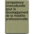 Competence Interculturelle Pour Le Developpement De La Mobilite Professionnelle