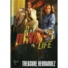 A Pimp''s Life door Treasure Hernandez