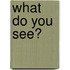 What Do You See?