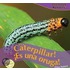 It''s a Caterpillar!