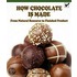 How Chocolate Is Made