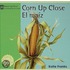 Corn Up Close / El maiz