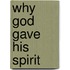 Why God Gave His Spirit