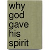 Why God Gave His Spirit door Kenneth Dobbin