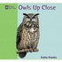 Owls Up Close / Los buhos