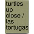 Turtles Up Close / Las tortugas