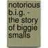 Notorious B.i.g. - The Story Of Biggie Smalls