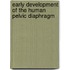 Early Development of the Human Pelvic Diaphragm