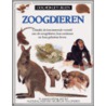 Ooggetuigen