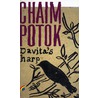 Davita's harp by Chaim Potok