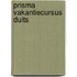Prisma Vakantiecursus Duits