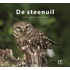 De Steenuil
