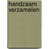 Handzaam verzamelen