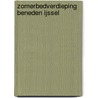 Zomerbedverdieping Beneden IJssel by W.B. Waldus
