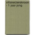 VillaKeizersKroon - 1 Jaar Jong