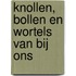 Knollen, bollen en wortels van bij ons