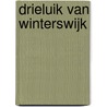 Drieluik van Winterswijk door Ubel Zuiderveld