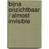 Bijna onzichtbaar / Almost invisible