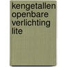 Kengetallen Openbare Verlichting Lite door R. van Ratingen