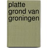 Platte Grond van Groningen by Peter Michiel Schaap