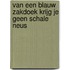 Van een blauw zakdoek krijg je geen schale neus