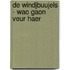 De Windjbuujels - Wao gaon veur haer