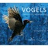 Vogels, magische momenten