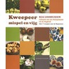 Kweepeer, mispel en vijg door Ria Loohuizen