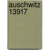 Auschwitz 13917 door Mirjam Blits