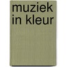 Muziek in Kleur by Thijs Snoeijer