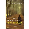 Het raadsel spinoza by Irvin D. Yalom