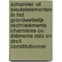 Scharnier- of sleutelelementen in het grondwettelijk recht/Eléments charnières ou éléments clés en droit constitutionnel